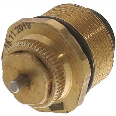 Macon Controls Valve Insert For 1/2" 3/4" 1"