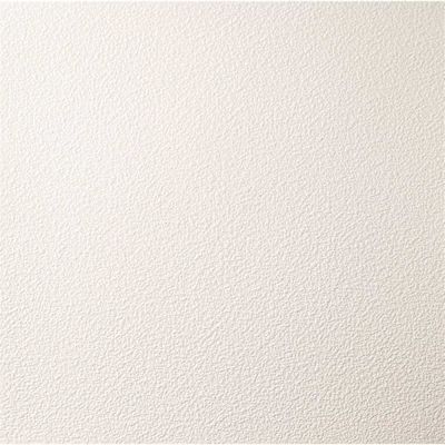 Genesis 2ft X 2ft Stucco PRO Flat White Lay In Ceiling Tile, Case Of 12