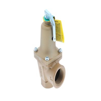 Watts 3/4" Boiler Pressure Relief Valve W/ Flood Sensor 50 PSI