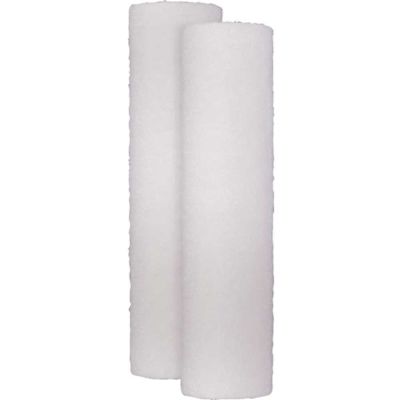 GE Universal Whole House Replacement Water Filter Cartridge (2-Pack)