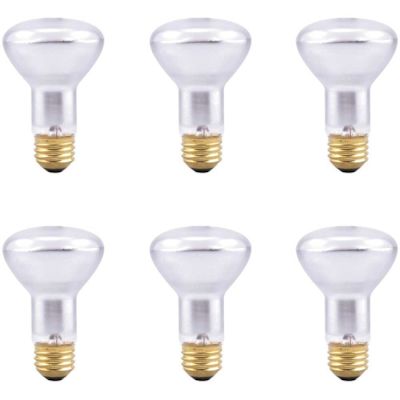 Sylvania 30-Watt R20 Flood and Spot Incandescent Light Bulb (6-Pack)