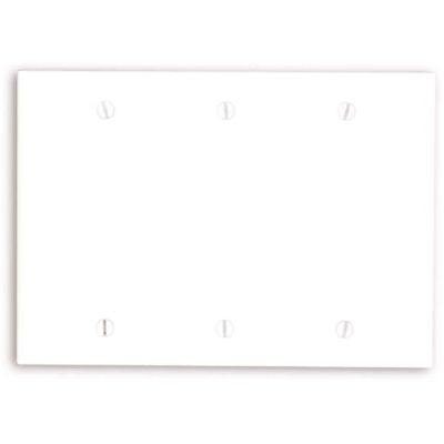 Leviton 3-Gang White Blank Plate Plastic Standard Wall Plate (1-Pack) 88033