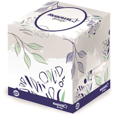 Renown Premium Cube Box 2-Ply Facial Tissue