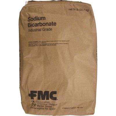 ProGuard 50 lbs. Sodium Bicarbonate Balancer Total Alkalinity Increaser
