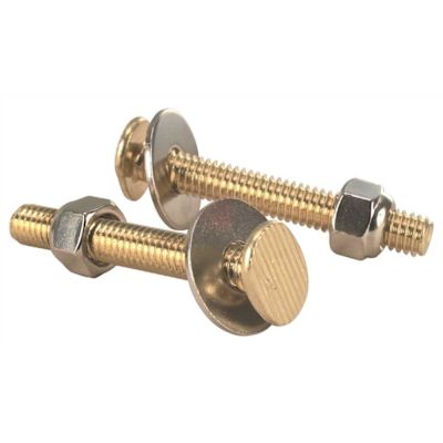 ProPlus Oval Closet Bolt 5/16 in. x 2-1/4 in. Brass Plated