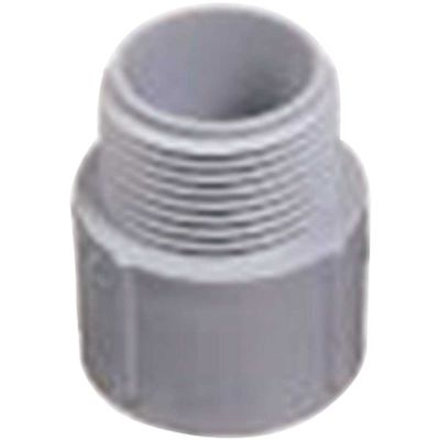 Carlon 3/4 in. PVC Male Adapter