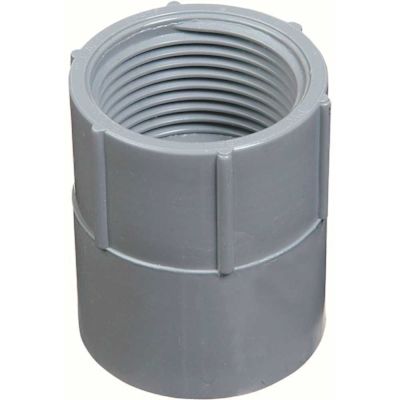 Carlon 3/4 in. Female PVC Conduit Adapter (Standard Fitting)