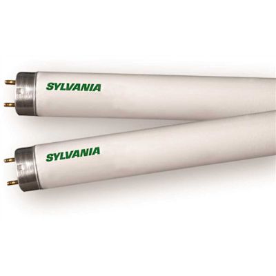 Sylvania 8 ft. 86-Watt Linear T8 Fluorescent Tube Light Bulb, Cool White (24 Bulbs per Case)