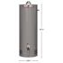 Rheem Professional Classic Plus 55 Gal. Tall 8-Year 50k BTU Atmospheric Natural Gas Tank Water Heater
