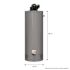 Rheem Professional Classic Power Vent 50 Gal. Tall 6-Year 42k BTU Liquid Propane Gas Tank Water Heater