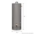 Rheem Professional Classic Plus Heavy Duty 72.8  Gal. Tall 8-Year 75.1k BTU Liquid Propane Tank Water Heater