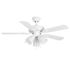 Seasons Torrena 42 In. LED Ceiling Fan, Indoor, Matte White