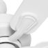 Seasons Torrena 42 In. LED Ceiling Fan, Indoor, Matte White