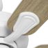 Seasons Torrena 42 In. LED Ceiling Fan, Indoor, Matte White