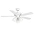 Seasons Torrena 42 In. LED Ceiling Fan, Indoor, Matte White
