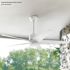 Seasons Vega 54" LED Ceiling Fan With Remote, Indoor/Outdoor, Matte White