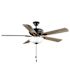 Seasons Rexburg II 52" LED Ceiling Fan, Indoor, Matte Black