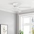 Private Brand Unbranded Leighton 52" Hugger Ceiling Fan, White