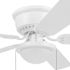 Private Brand Unbranded Leighton 52" Hugger Ceiling Fan, White