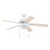 Generic Private Brand Rosemont 52" Dual Mount Ceiling Fan, White