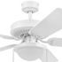 Generic Private Brand Rosemont 52" Dual Mount Ceiling Fan, White