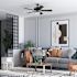 Generic Private Brand Bensfort 44" Dual Mount Ceiling Fan, Matte Black