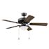 Generic Private Brand Bensfort 44" Dual Mount Ceiling Fan, Matte Black