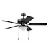 Generic Private Brand Bensfort 44" Dual Mount Ceiling Fan, Matte Black
