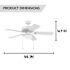 Private Brand Unbranded Bensfort 44" Dual Mount Ceiling Fan, White