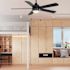 Seasons Willard 52" LED Ceiling Fan, Indoor/Outdoor, Matte Black