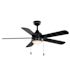Seasons Willard 52" LED Ceiling Fan, Indoor/Outdoor, Matte Black