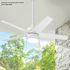 Seasons Vega 44" Matte White Indoor/Outdoor Ceiling Fan With Light and Reversible Matte White/Natural Oak Blades (5-Blade)