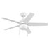 Seasons Vega 44" Matte White Indoor/Outdoor Ceiling Fan With Light and Reversible Matte White/Natural Oak Blades (5-Blade)