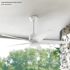 Seasons Vega 54" Matte White Remote Controlled Indoor/Outdoor Ceiling Fan With Light And Matte White (5-Blade)