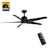 Seasons Vega 54" Matte Black Remote Controlled Indoor/Outdoor Ceiling Fan With Light And Matte Black Blades (5-Blade)
