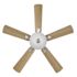 Seasons Tarisa 44" Brushed Nickel Indoor Ceiling Fan With Light and Reversible Maple/Walnut Blades (5-Blade)