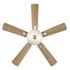 Seasons Tarisa 44" Brushed Nickel Indoor Ceiling Fan With Light and Reversible Maple/Walnut Blades (5-Blade)