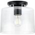 Progress Lighting Adley 1-Light Indoor Flush Mount, 8.6", Matte Black, Clear