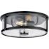 Progress Lighting Gilliam 2-Light Flush Mount, 12.6", Matte Black, Clear