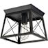 Progress Lighting Briarwood 1-Light Indoor Flush Mount, 9.5", Cerused Black