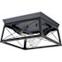 Progress Lighting Briarwood 2-Light Indoor Flush Mount, 12", Cerused Black