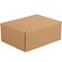 Box Partners 11 1/8 X 8 3/4 X 4" Kraft Deluxe Literature Mailer Pkg Of 50