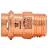 Quickfitting Surepress 3/4" X 3/4" Copper Mnpt Male Adapter