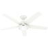 Hunter Fan 52" Skyflow Weathermax Ceiling Fan With LED Light, Matte White
