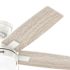 Hunter Fan 44" Anisten Ceiling Fan With LED Light And Pull Chain, Fresh White