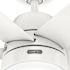 Hunter Fan 60" Skysail Weathermax Ceiling Fan With LED Light, Fresh White