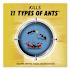 Combat Max 2-In-1 Ant Bait, 4/Pack, 8 Packs/Carton
