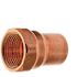 Everbilt 3/4 in. x 1/2 in. Copper Pressure Cup x Female Adapter Fitting