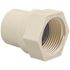 NIBCO 3/4 in. CPVC-CTS Slip x FIPT Adapter Fitting