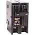 Square D Homeline 125 Amp 2-Pole Circuit Breaker